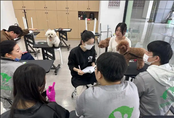 淮南市宠物美容师宠物美容培训学校 - 方案